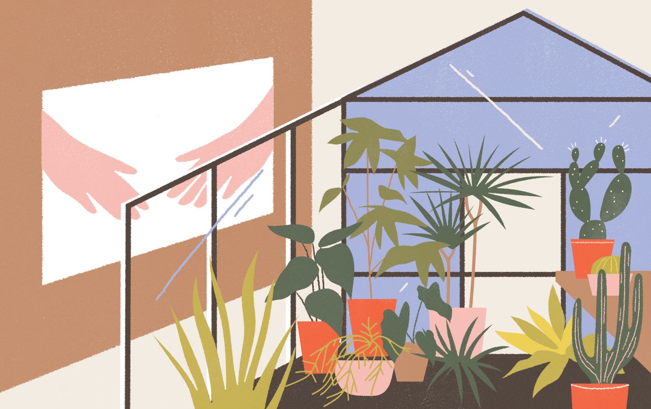 Illustration of gallery installation of greenhouse filled with plants